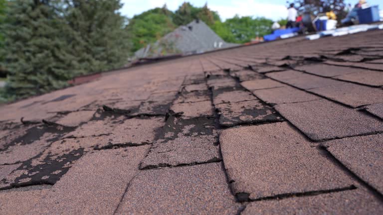 Best Wood Shake Roofing  in Faxon, PA