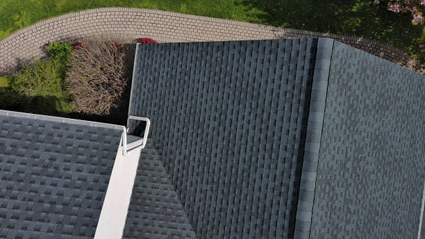 Best Roof Moss and Algae Removal  in Faxon, PA