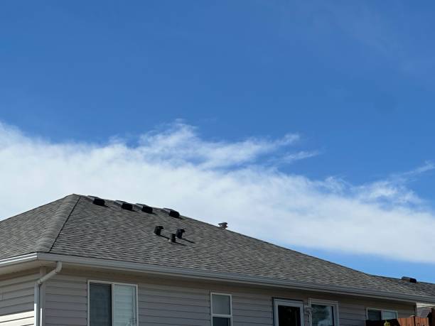 Best Asphalt Shingles Roofing  in Faxon, PA